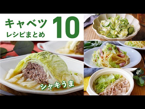 【キャベツレシピ10選】主菜や副菜に！大量消費にもおすすめレシピ♪｜macaroni（マカロニ）