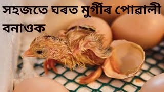 Homemade incubator for chicken egg | Incubator inside | how to make incubator in Assamese| incubator