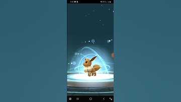 Best trick to evolve Eevee into Umbreon#pokemon go # shorts