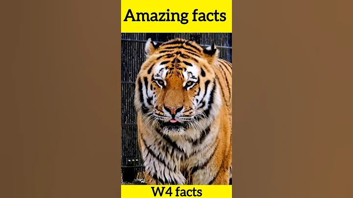 5 interesting facts about animals #animals #viralshorts #shorts