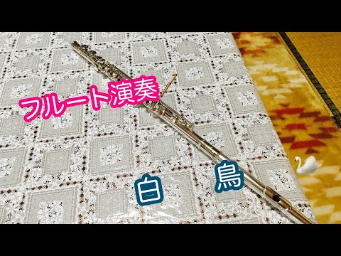 【フルート演奏】フルート演奏白鳥