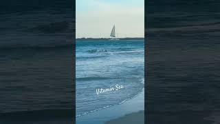 Healing Nature 🌊 #oceansounds #nature #ocean #wrightsvillebeach #northcarolina #summer