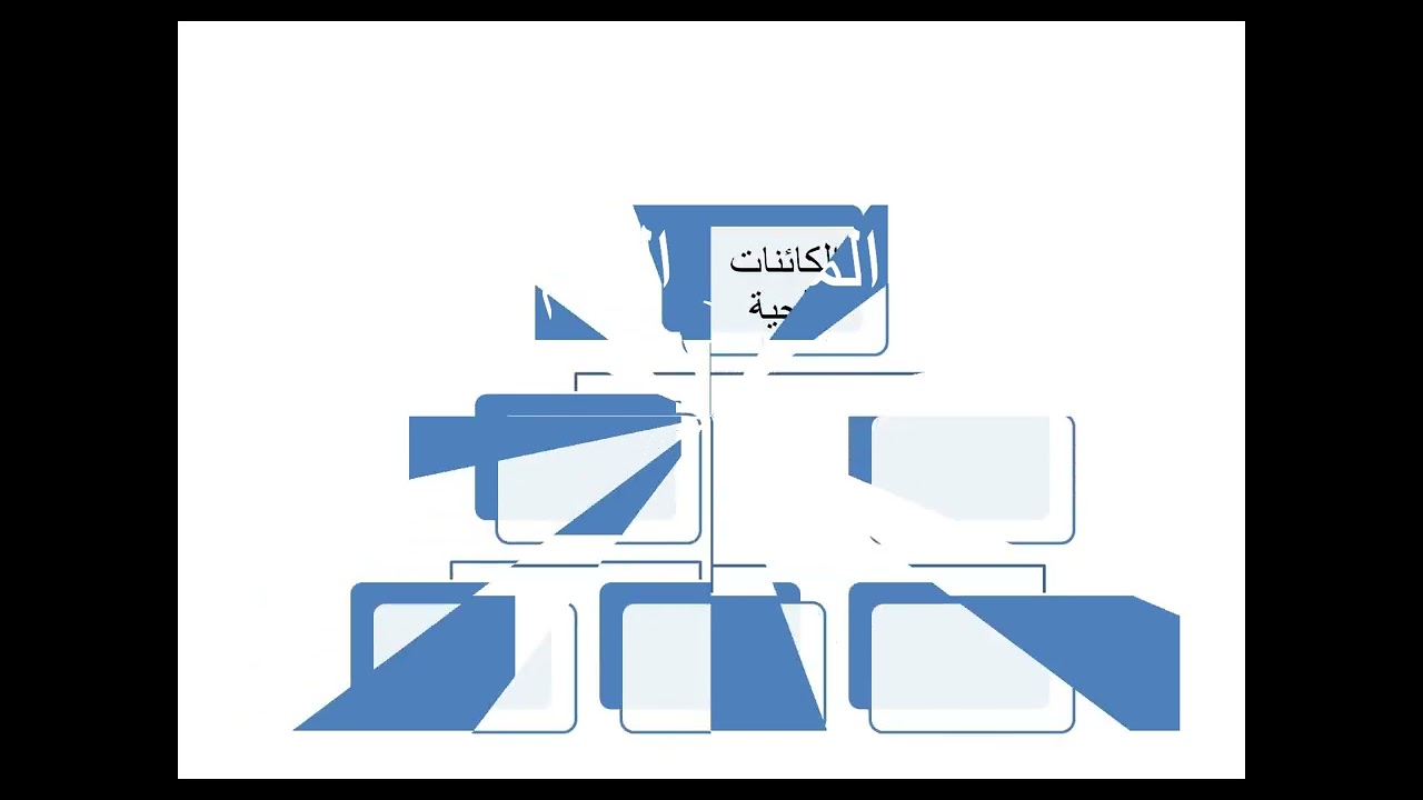 درس السادس العروض التقديمة التأثيرات الحركية للصف الثامن مع حل الاسئلةمع الاستاذ احمد عبود