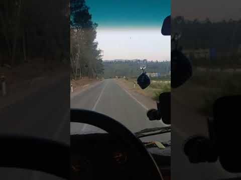 يا ما وحدي في بلاد غريبة 