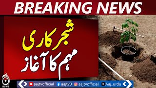 Tando Allahyar Tree Plantation Drive | Citizens Join Green Pakistan Initiative - Aaj News Breaking Tando Allahyar Tree Plantation Drive | Citizens Join Green Pakistan Initiative - Aaj News Breaking