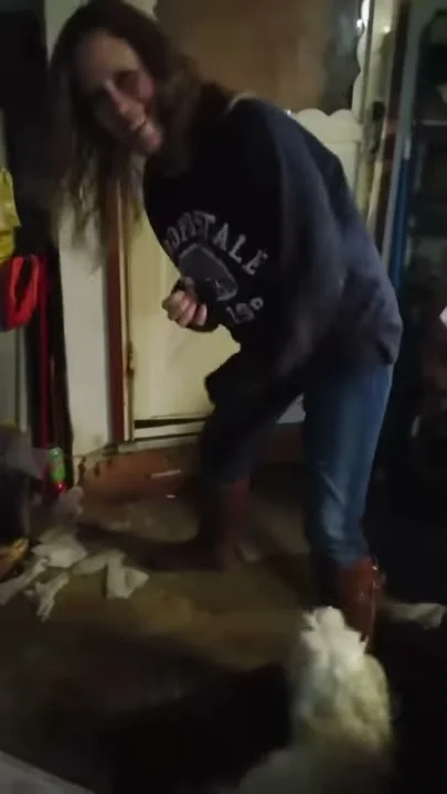 dancing dog