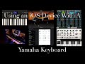 Expanding Yamaha Keyboards With An iOS Device