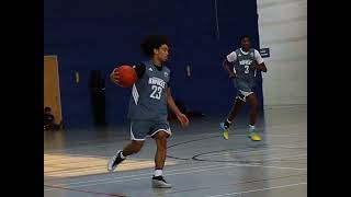 🔥 2029 PG Amari Storman | FULL AAU Season Highlights | Crimson Kings
