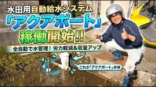 水田用自動給水システム「アクアポート」を稼働開始です・ヤケ苗を奇跡的に回避した「にじきら」田植え開始・2026