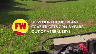 Northumberland grazier gets 7 plus years out of herbal leys