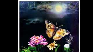 Usina De Prata - Rosinha De Valença