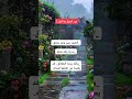 من أجمل ما قيل حنان لاشين سقطرى اقتباسات من أجمل ما قيل حنان لاشين سقطرى اقتباسات