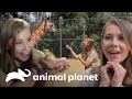 Os melhores momentos da Bindi na 1ª temporada | A Família Irwin | Animal Planet Brasil