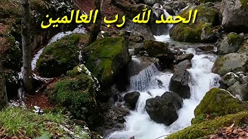 سورة الفاتحه _  بصوت جميل   _ القارئ _ ابو ابراهيم