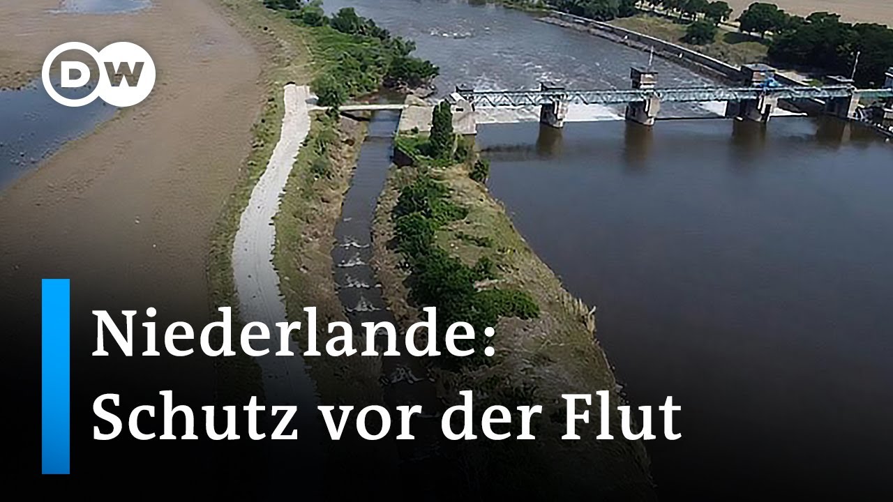 So schützen sich die Niederlande vor Hochwasser | Fokus Europa