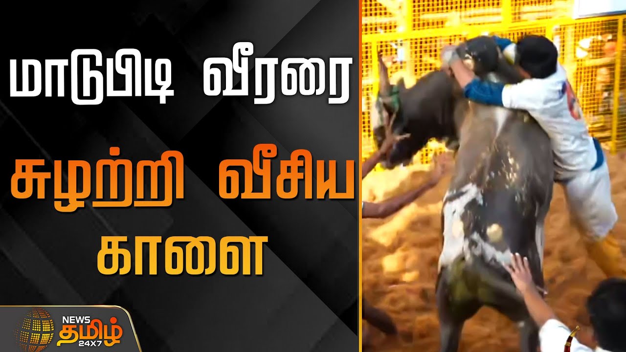 Avaniyapuram Jallikattu | மாடுபிடி வீரரை சுழற்றி வீசிய காளை | Madurai