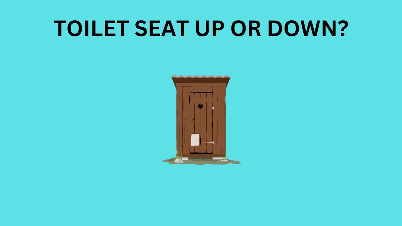 Toilet Seat Down A Woman's Perspective YouTube