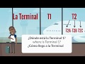 Spanish Words and Phrases used at the Airport (and on the actual plane!)