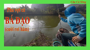 Câu Đài Miền Bắc | Pha Vợt Cá Quá Đỗi Hài Của Bác Gìa Ngồi Xem Câu - Sướng Như Vớ Được Vàng