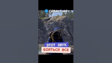 САМЫЕ СТРАШНЫЕ ЗВУКИ #раст #rust #cobaltlab - лучший игровой проект по Rust