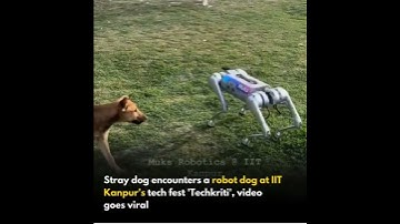 A heartwarming encounter between a stray dog and a robotic dog at IIT Kanpur