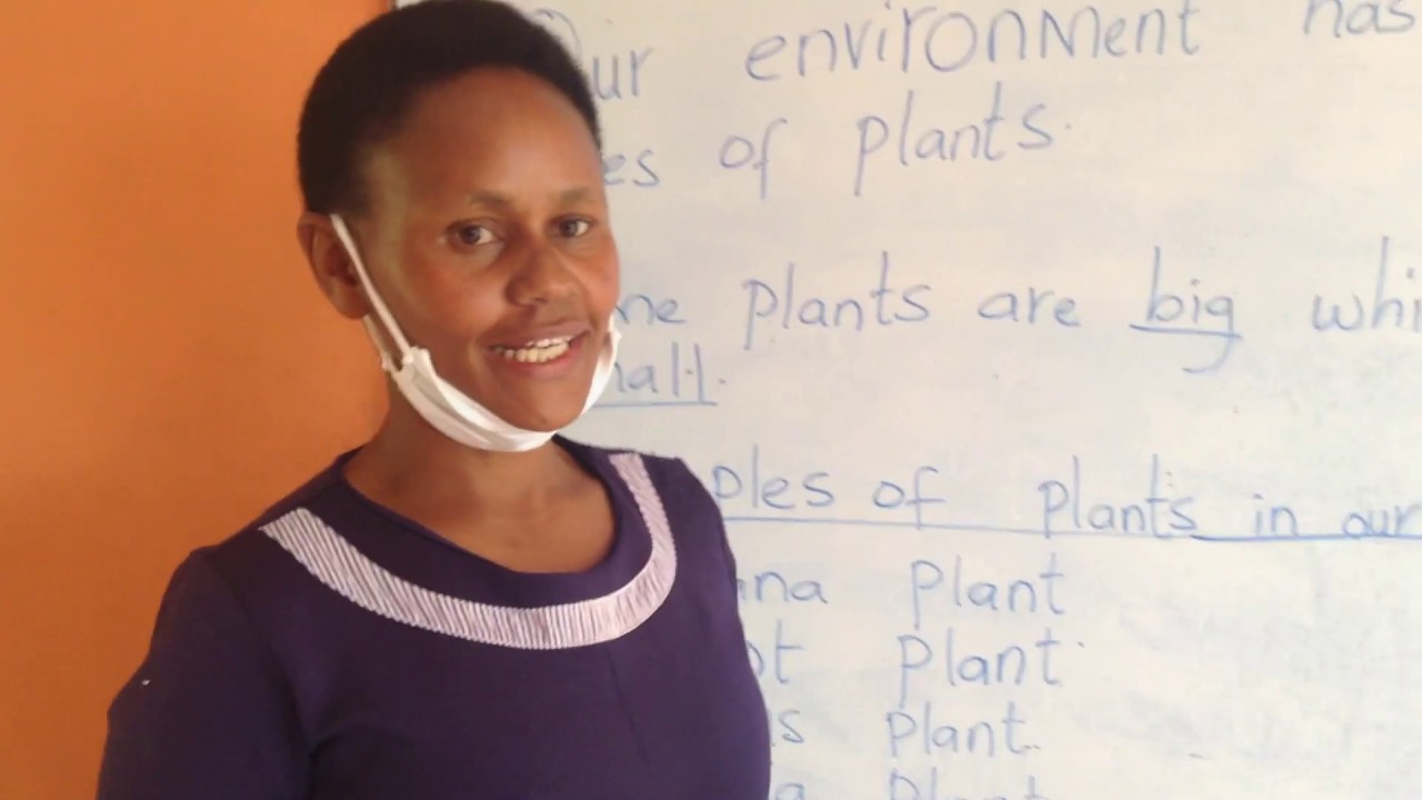 grade 2 environmental activities plants youtube