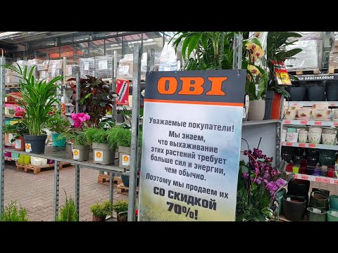 Video: Cveti Na Prvoaprilski Dan