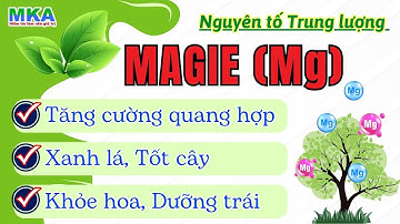 Vai trò của Magie và Vi lượng đối với cây trồng |Biểu hiện cây thiếu chất |Cách bổ sung nhanh chóng