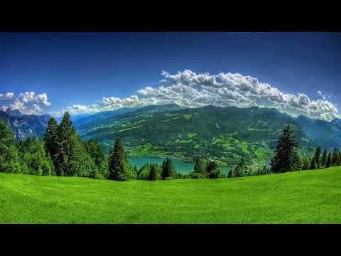 Сергей Щепетов. Каменный