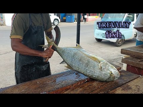 Video: Cucinare Con Il Pesce: Le Migliori Ricette Di Passere