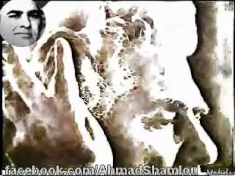 مرا تو بی سببی نیستی احمد شاملو