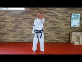 Die 5 wichtigsten Schrittstellungen Tutorial - Taekwon-Do