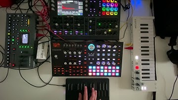 My digital family (Waldorf Iridium, ASM Hydrasynth, Elektron Octatrack MKII and Roli Seaboard)