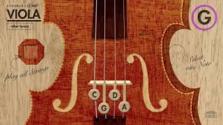 Video thumbnail of "Viola Tuner (CGDA) in A 440Hz"