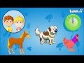 Gry Dora dla dzieci - YouTube