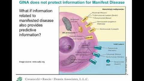 GINA Update: The Newly Enacted Federal Ban on Gene...