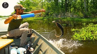 How I Catch Catfish on JUG LINES! LOUISIANA Swamps and Marshes Provide!