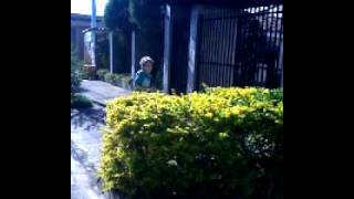 Download Lagu Sera Que Doi - Parte 2 MP3