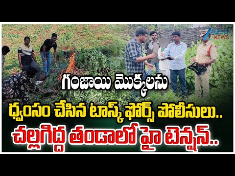 High Tension! Clashes between Task Force police and Thanda People at Challagidda Thanda | Sangareddy - ZEE24TELUGUNEWS