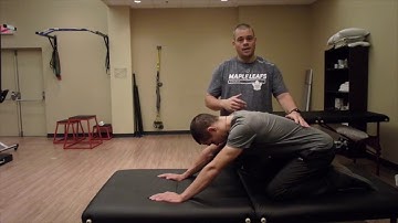 Lumbar Flexion Quadruped