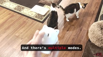 Automatic Cat Laser Toy: Is It Worth the Hype?