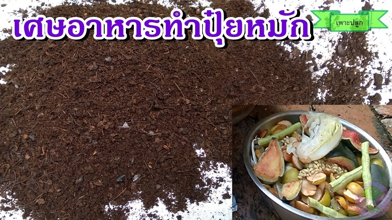 Composting | วิธีทำปุ๋ยหมักจากเศษอาหาร ทำปุ๋ยใช้เอง | วิศวกรรมแม่โจ้ ...