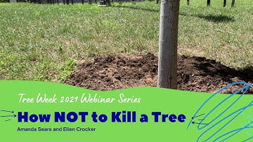 How NOT To Kill A Tree