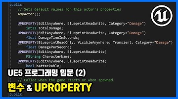UE5 프로그래밍 입문 (2) - 변수 & UPROPERTY | 언리얼 5 [U5-P-1]