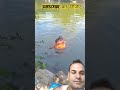 भैंस पानी में #funny #comedy #masti #trending #viral