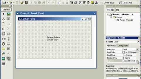 Cara Mudah Belajar Visual Basic 6.0 - Control dan Element Visual Basic - Pengertian Label