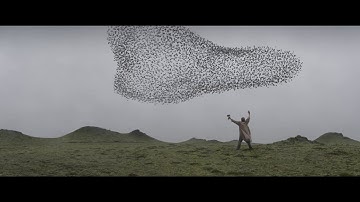 Le Tout Nouveau Testament - 3D Bird Flock Simulation VFX