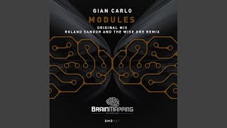 Modules (Roland Sandor & The Wise One Remix)