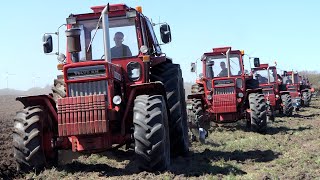 6X Volvo BM 814 Turbo tractors in the field ploughing at once | Pure Sound | DK Agriculture