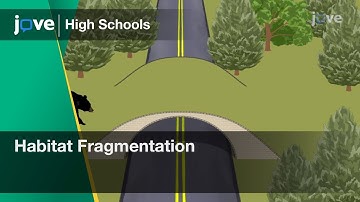 Habitat Fragmentation | Bio | Video Textbooks - Preview